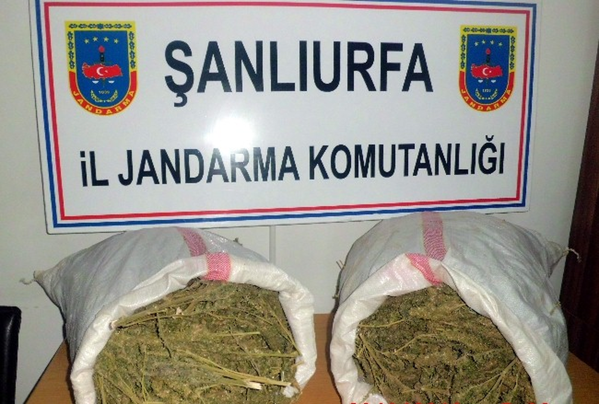 Şanlıurfa\'da Esrar Operasyonu