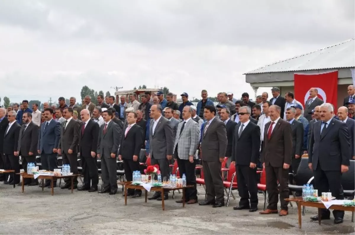 Şeker Pancarı Alımı Başladı