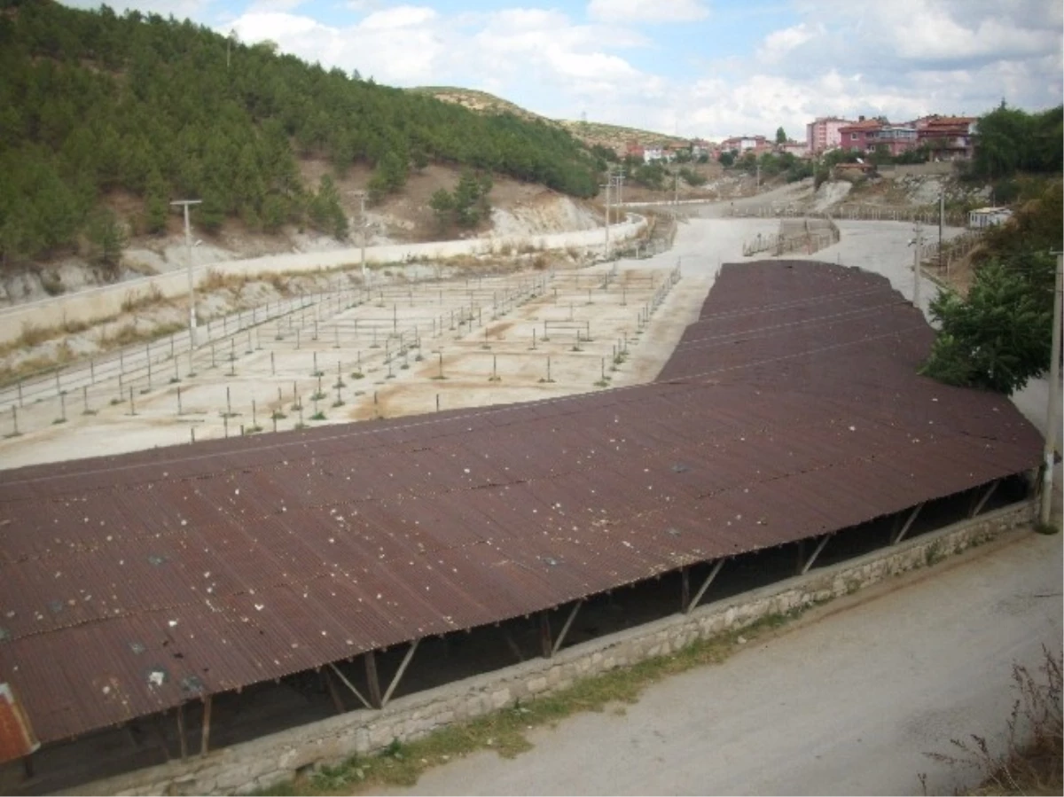 Tavşanlı Yeni Hayvan Pazarı Hizmete Açıldı