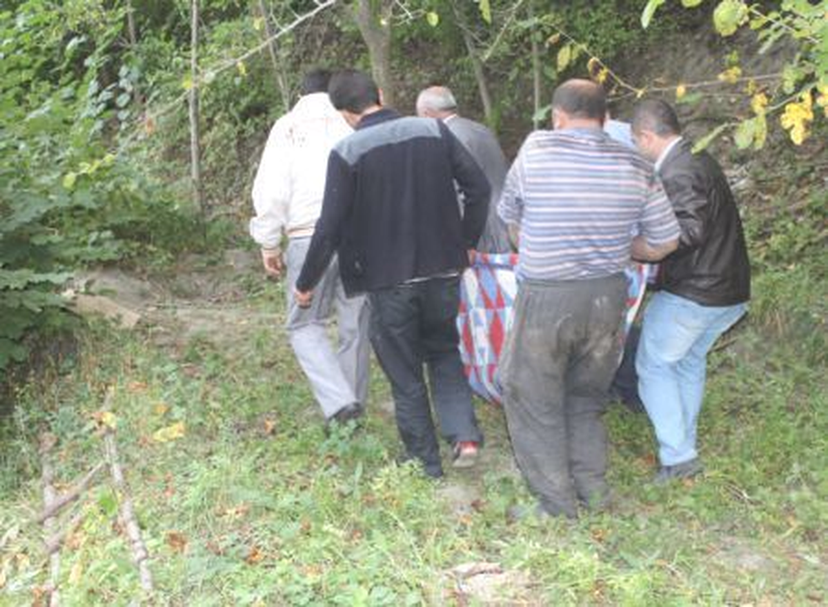 Tosya\'da Ağaçtan Düşen Kişi Öldü