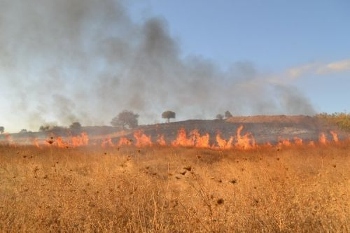 Beyşehir\'de Jandarma Ekipleri, Anız Yakılan Arazileri Tespit Ediyor
