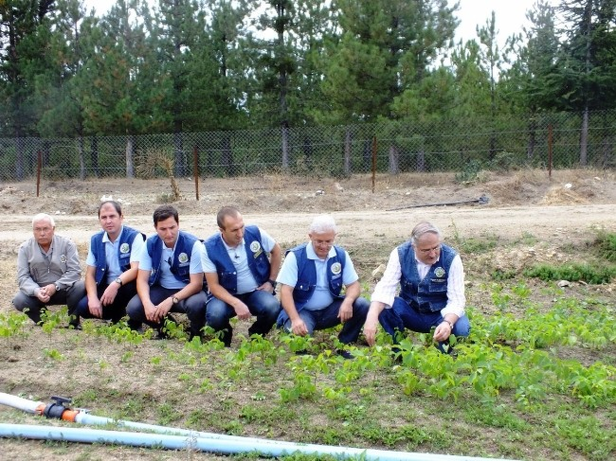 Güldüren Fidanlığında Ceviz ve Badem Fidanı Üretimine Başlandı