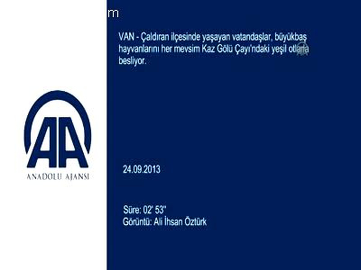 Hayvanlarını her mevsim yeşil otla besliyorlar VAN