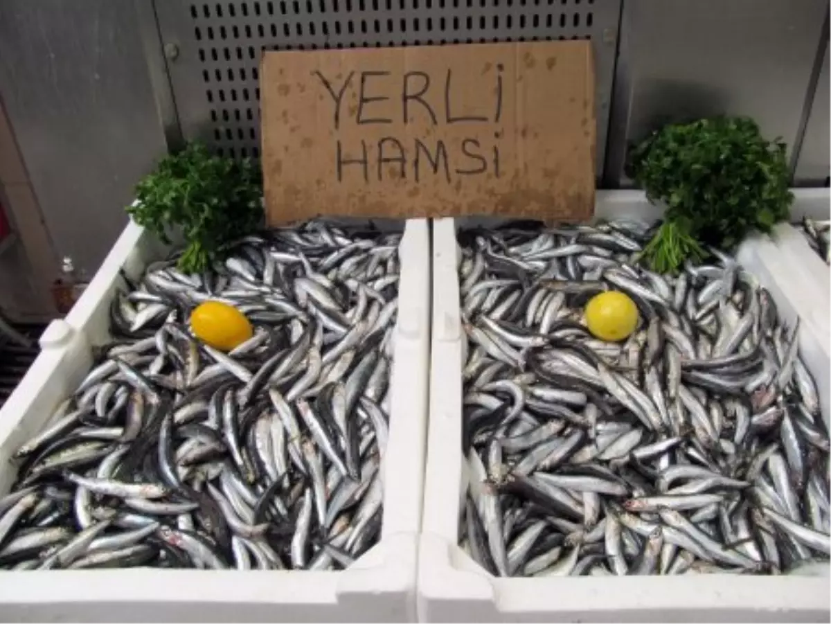 Karadeniz hamsisi tezgahlardaki yerini aldı TRABZON