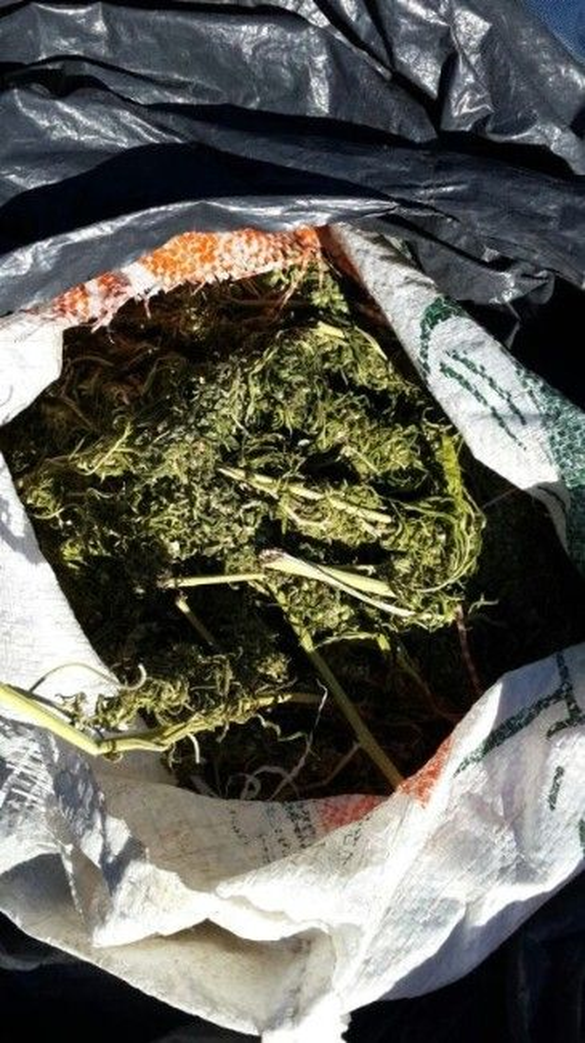 Mardin\'de 12 Kilogram Kubar Esrar Ele Geçirildi