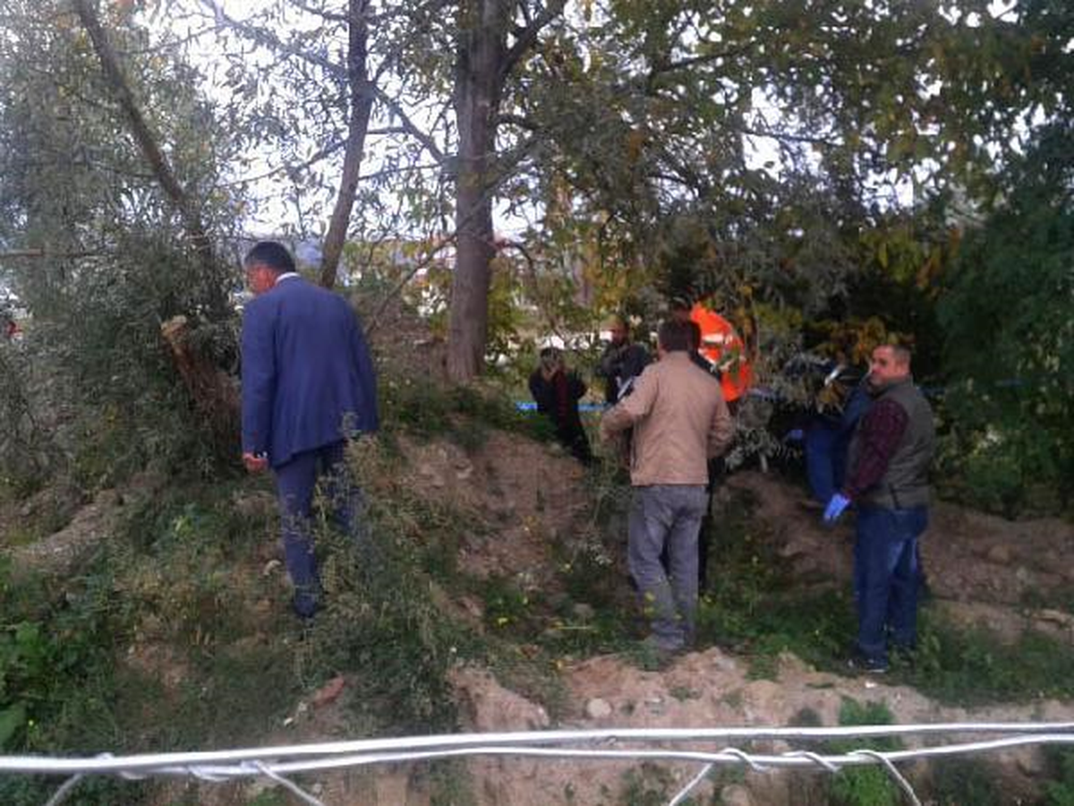 Orman İşçisi Kendini Ağaca Astı