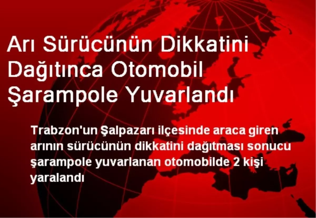 Arı Sürücünün Dikkatini Dağıtınca Otomobil Şarampole Yuvarlandı