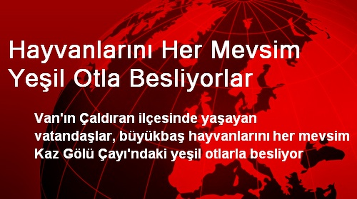 Hayvanlarını Her Mevsim Yeşil Otla Besliyorlar