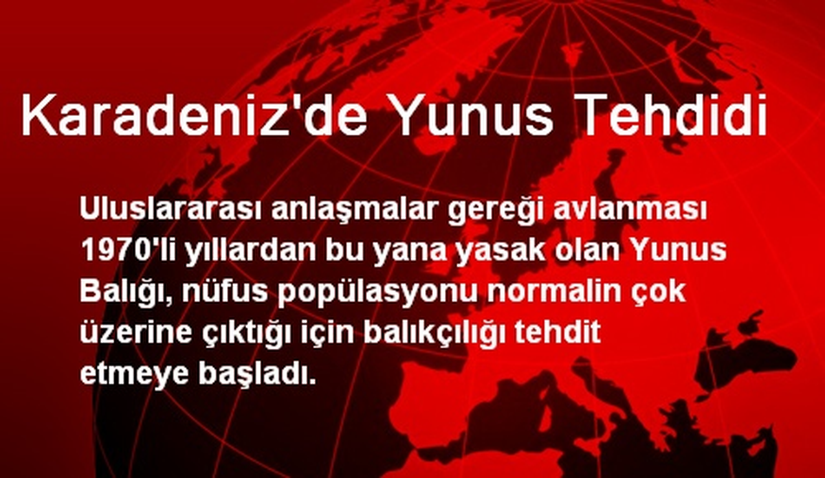 Karadeniz\'de Yunus Tehdidi