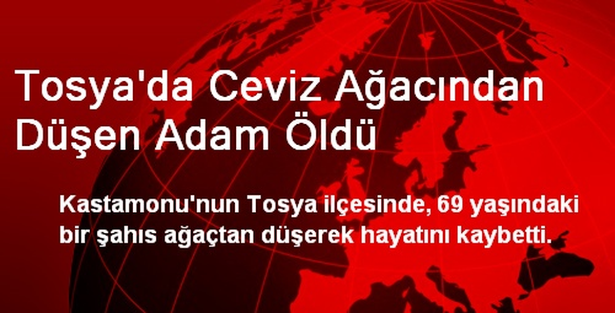 Tosya\'da Ceviz Ağacından Düşen Adam Öldü