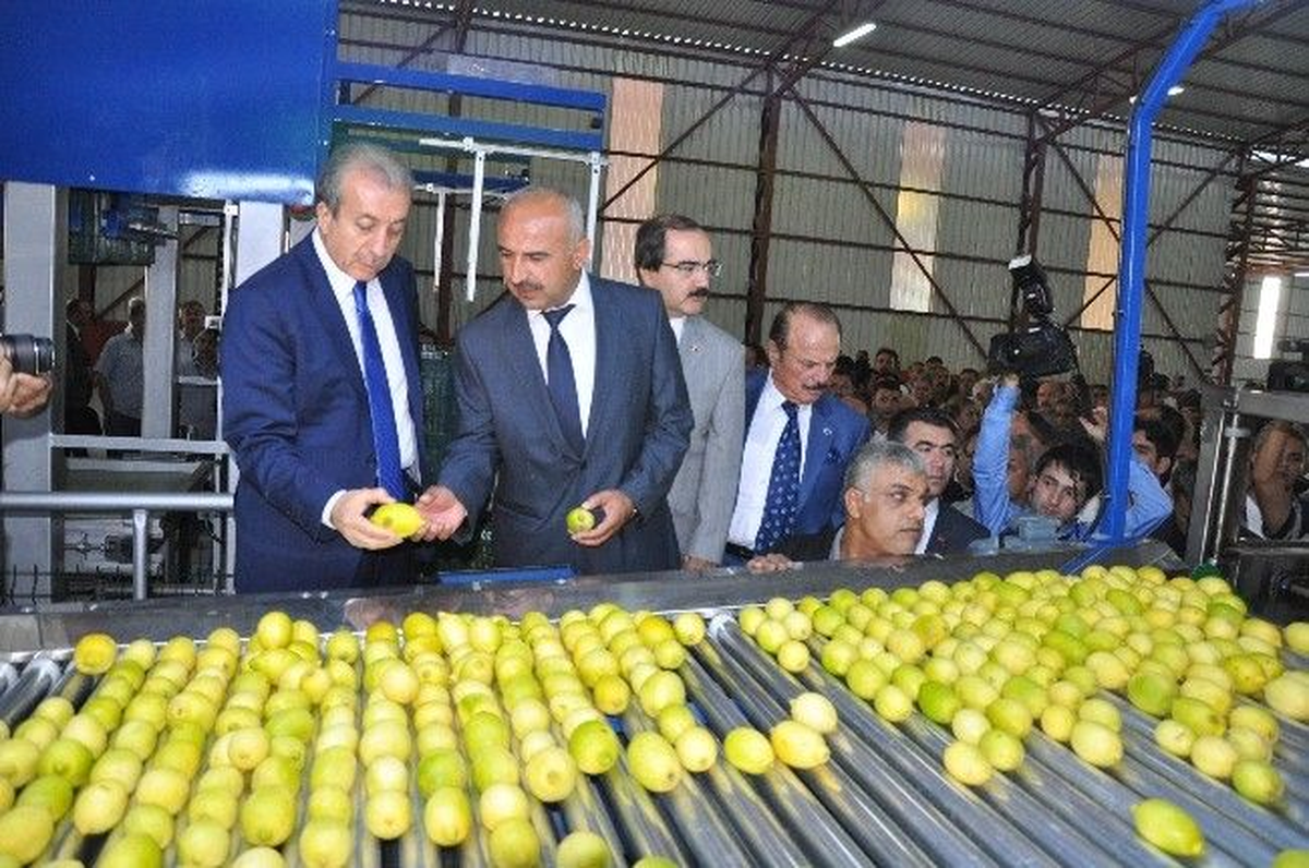Bakan Eker Çakıyla Limon Kesip Suyunu Sıktı
