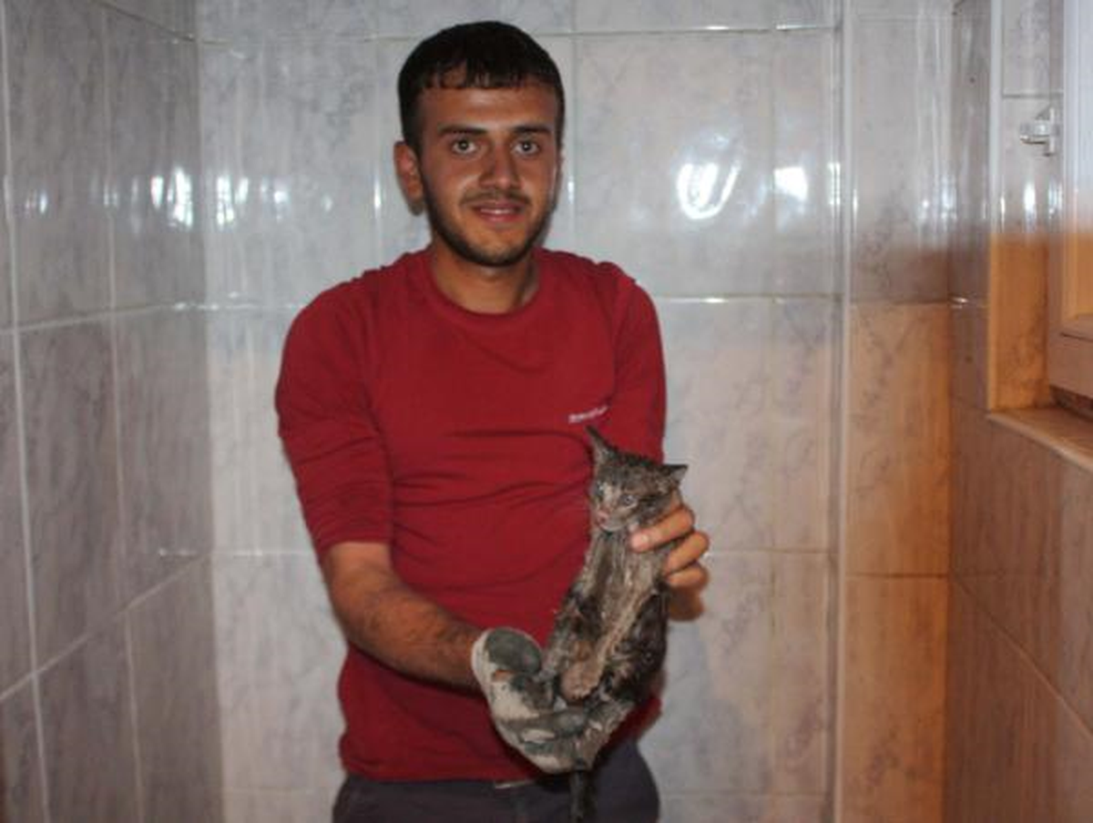 Havalandırmada Mahsur Kalan Kediyi İtfaiye Kurtardı