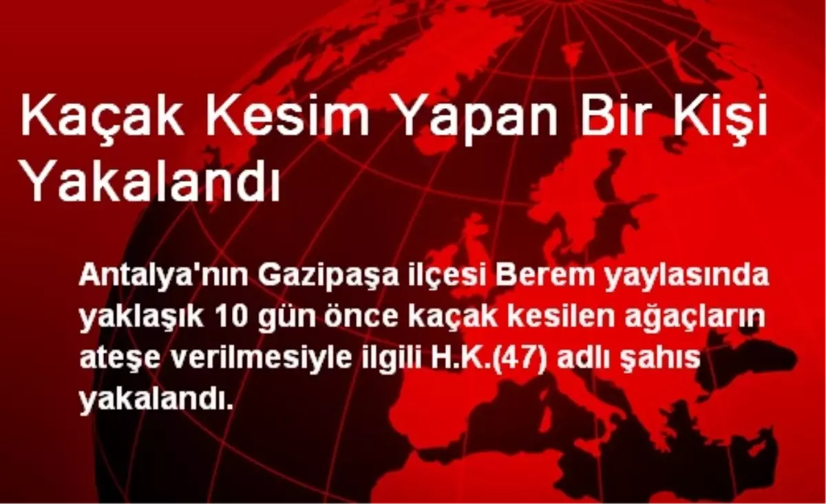 Kaçak Kesim Yapan Bir Kişi Yakalandı