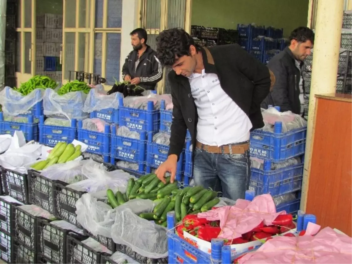Turşuluk Sebzeler Tezgâhlardaki Yerini Aldı
