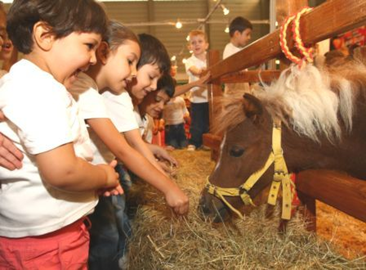 16. Evcil Hayvan Show Fuarı