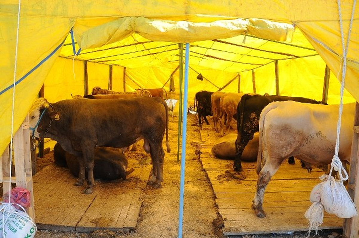 Başiskele Belediyesi Kurban Satış Yeri Hizmete Açıldı