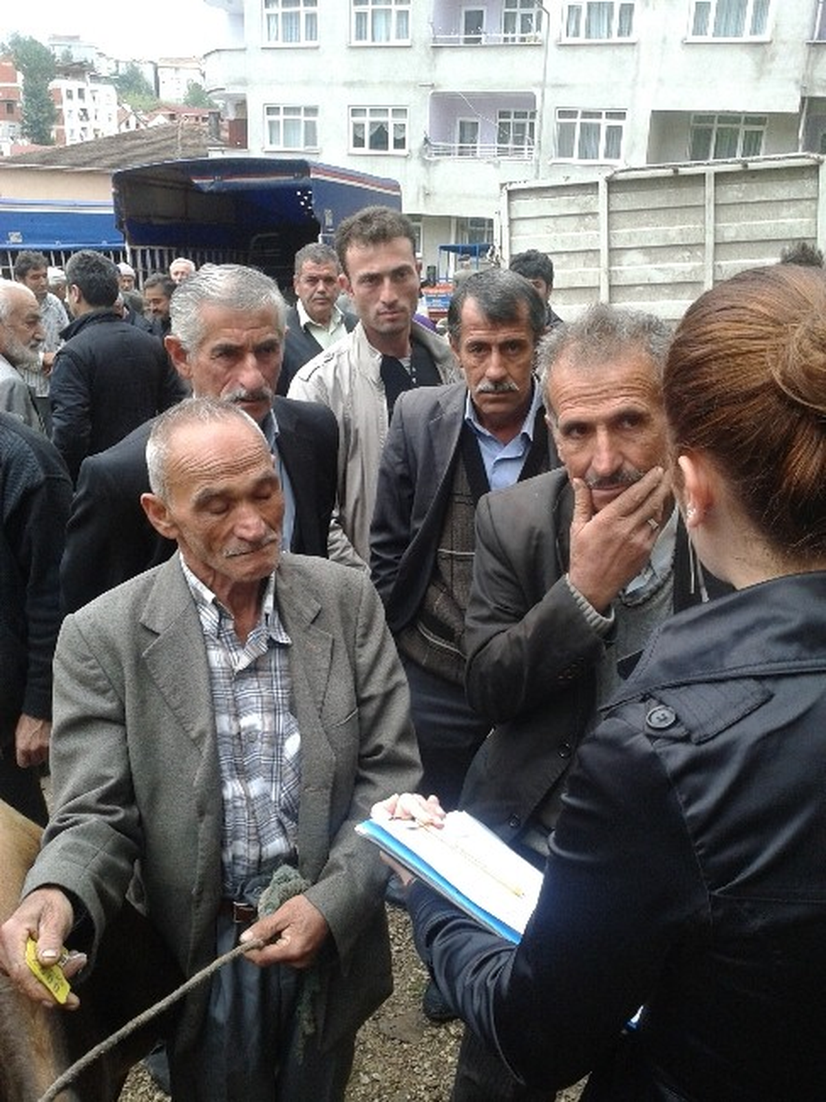 Kumru\'da Kurbanlıklara Sıkı Denetim