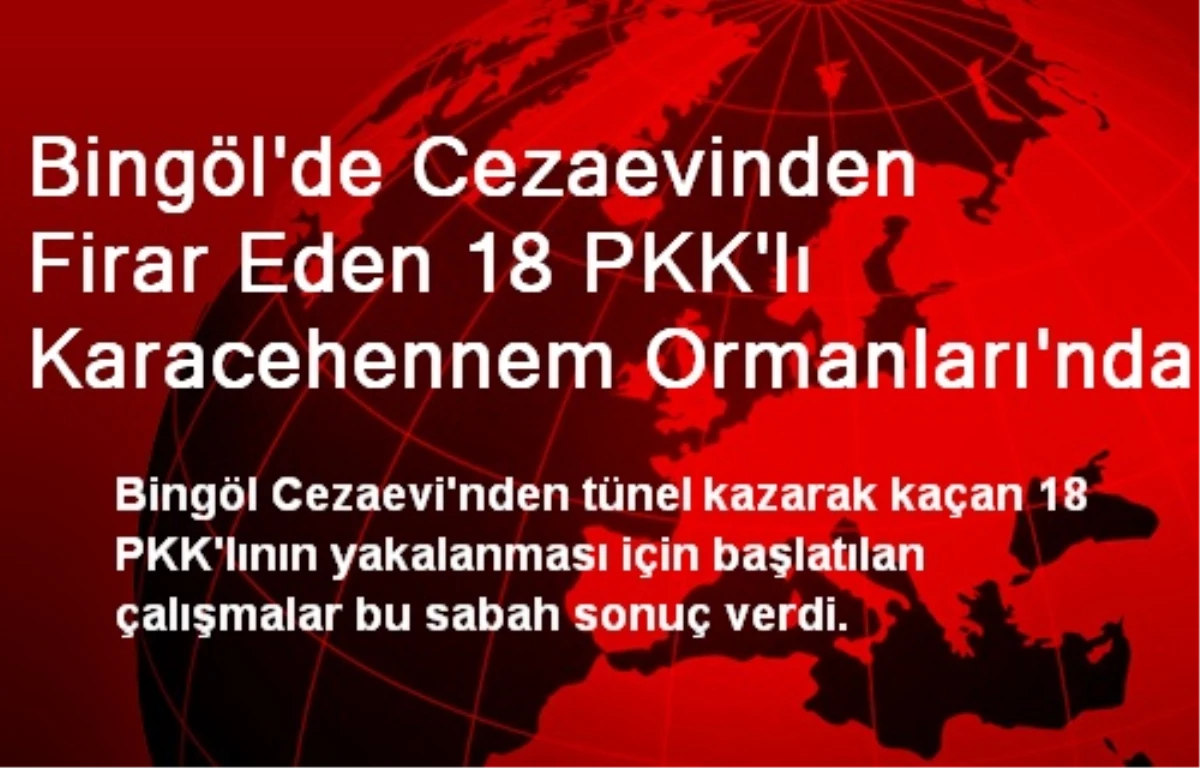 Bingöl\'de Cezaevinden Firar Eden 18 PKK\'lı Karacehennem Ormanları\'nda Yakalandı(2)