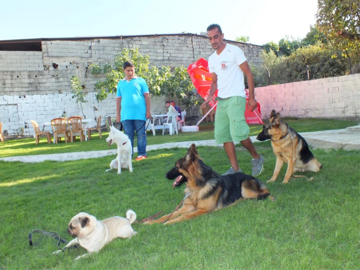 Polet Köpek Eğitim Merkezi ve Köpek Oteli Hizmete Girdi