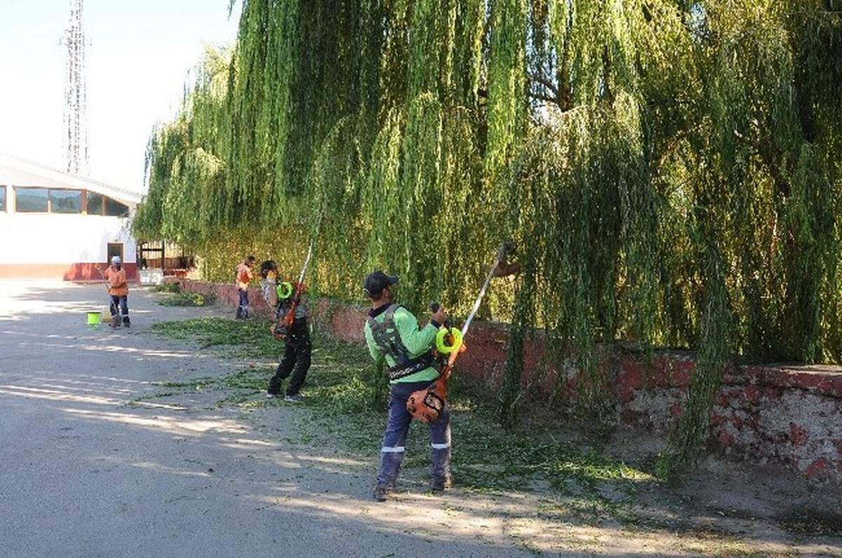Başiskele\'de Dereler Tertemiz