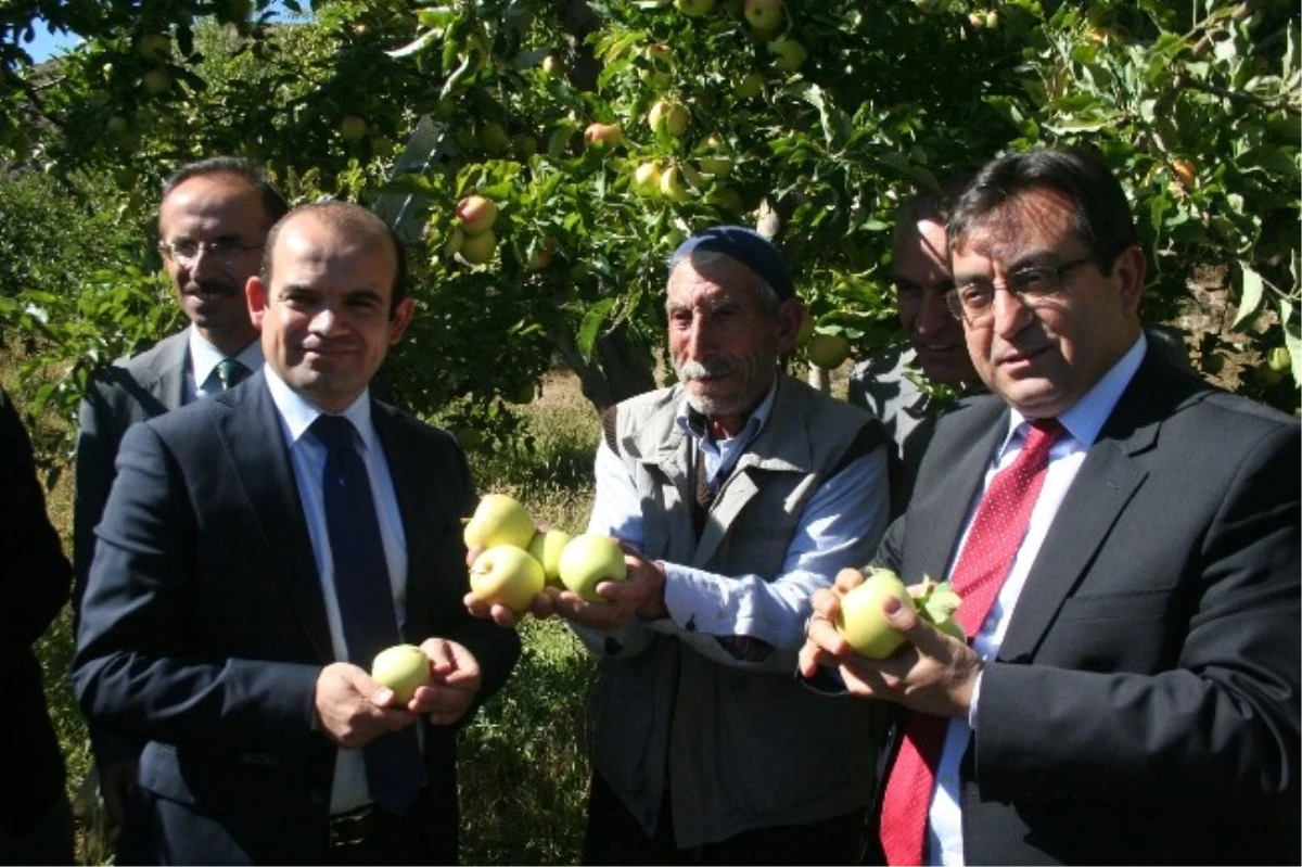 Erzincan\'daki Elmalar Bebek Mamasına Katılıyor