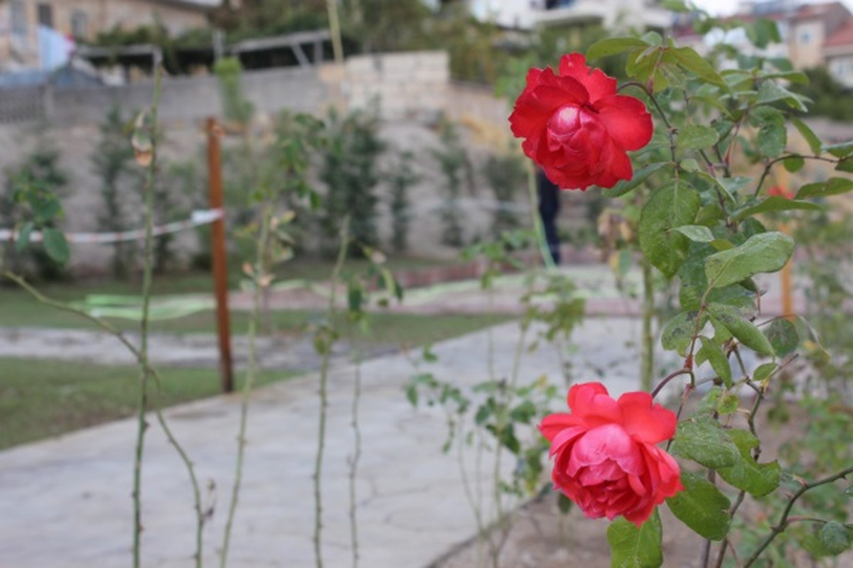 Kıratlıoğlu Mahallesi\'ne Yeni Bir Park Alanı Daha