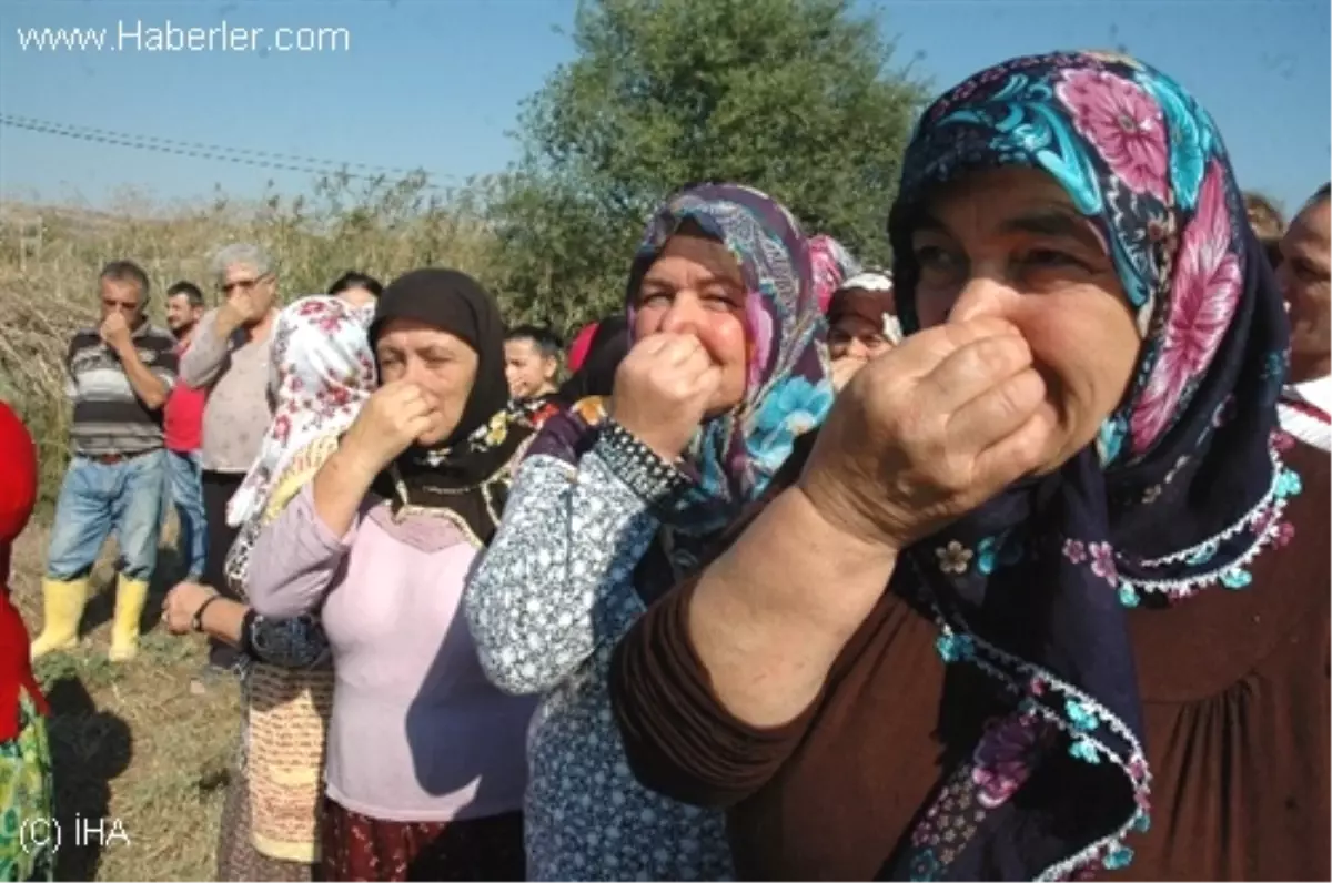 Mahalle Sakinleri Kokuya İsyan Etti