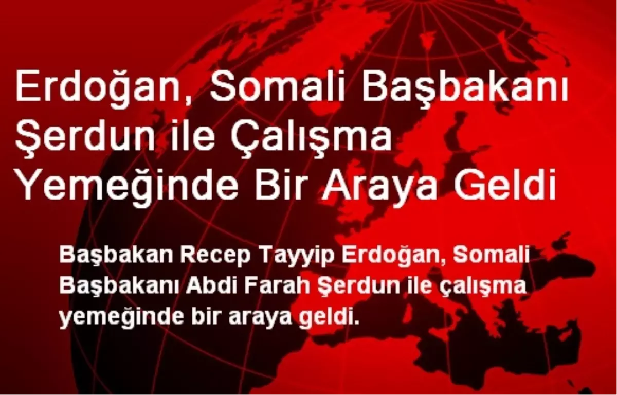 Erdoğan, Somali Başbakanı Şerdun ile Çalışma Yemeğinde Bir Araya Geldi