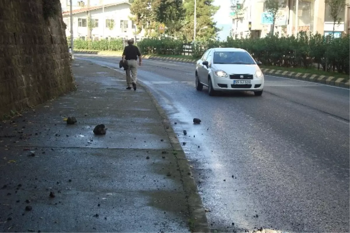 Tanjant Yolu\'nda Yayaları ve Araçları Bekleyen Tehlike