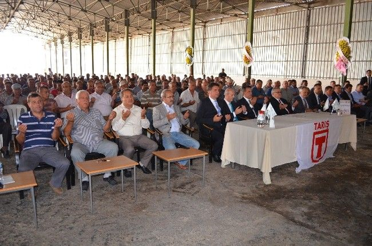 Tariş Söke Kooperatifi Pamuk Alım Sezonunu Açtı