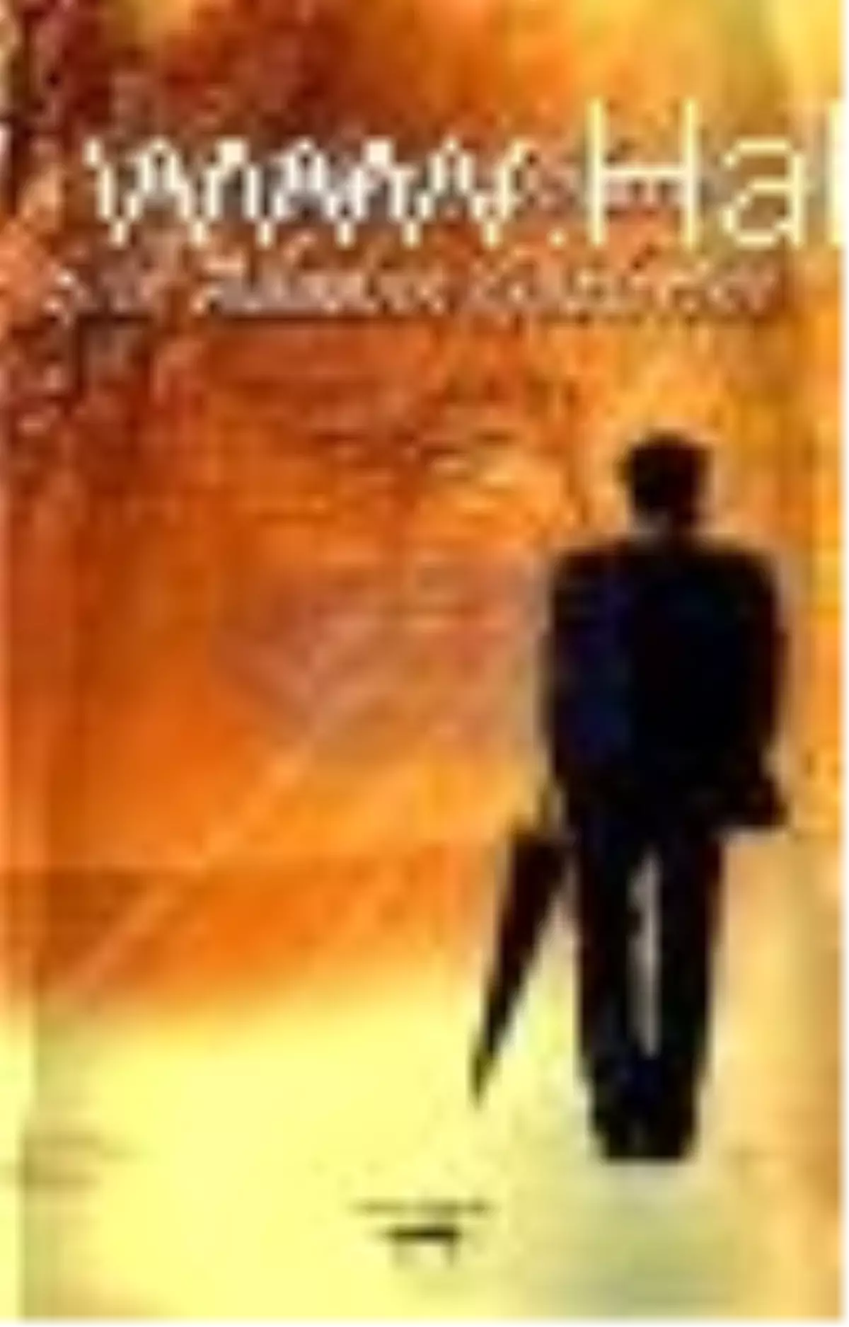 Bir Yürek Dolusu Şiir Adadım Gözlerine Kitabı