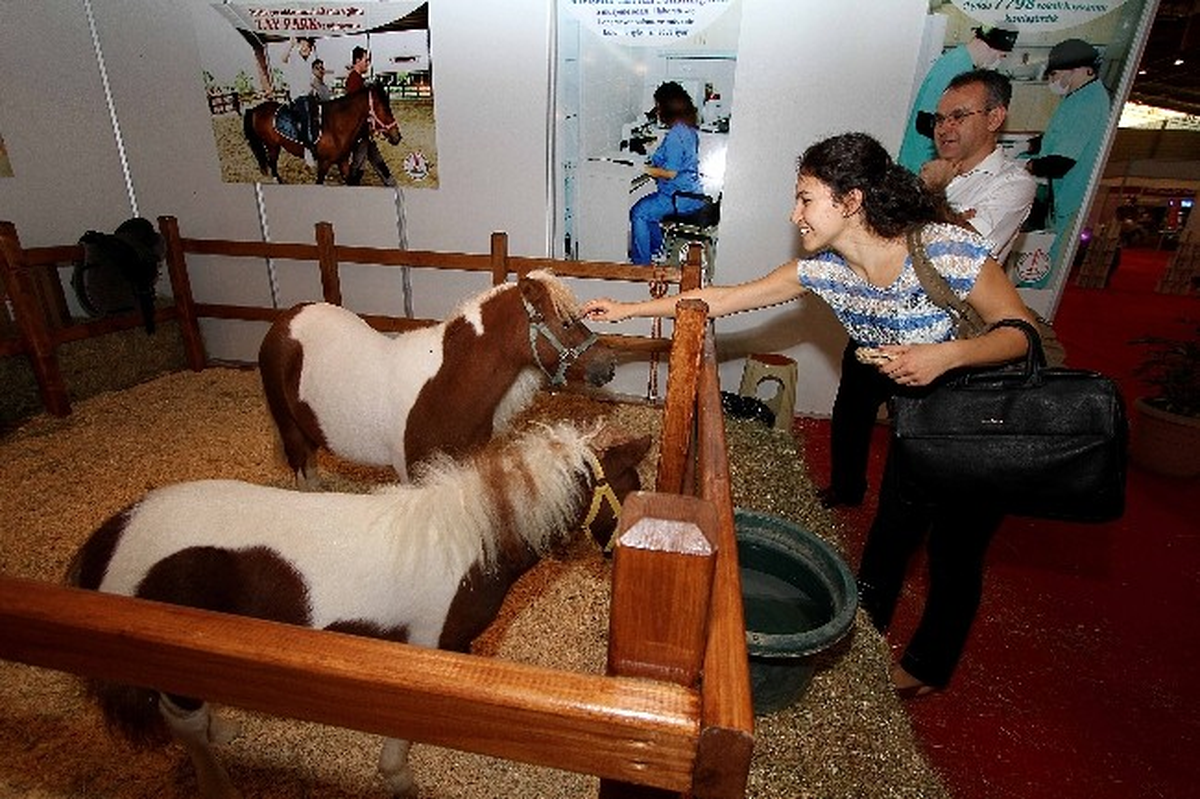 Fuarın Gözdesi Karamel ile Kordelya Oldu