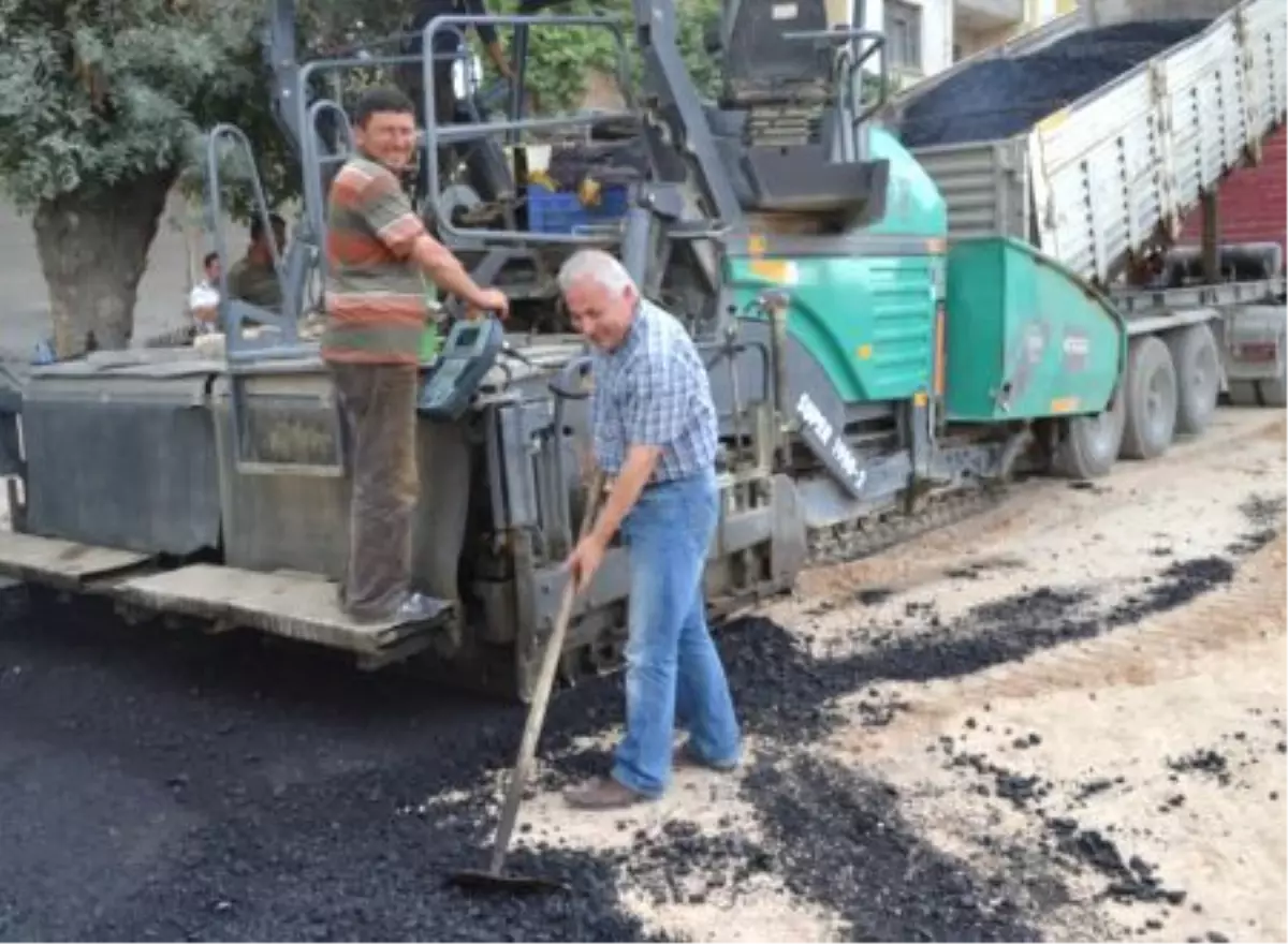 Kavak Belediyesi Çalışmaları