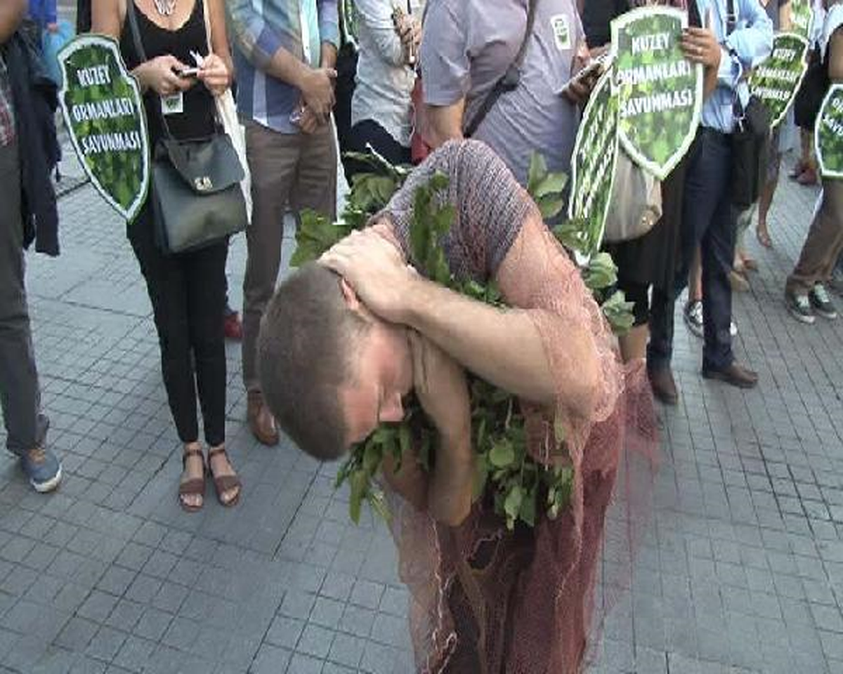 "Kuzey Ormanları Savunması"Ndan Gergin Eylem