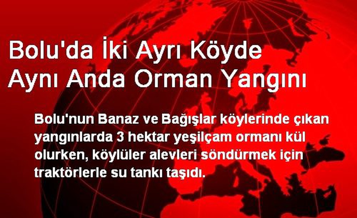 Bolu\'da İki Ayrı Köyde Aynı Anda Orman Yangını