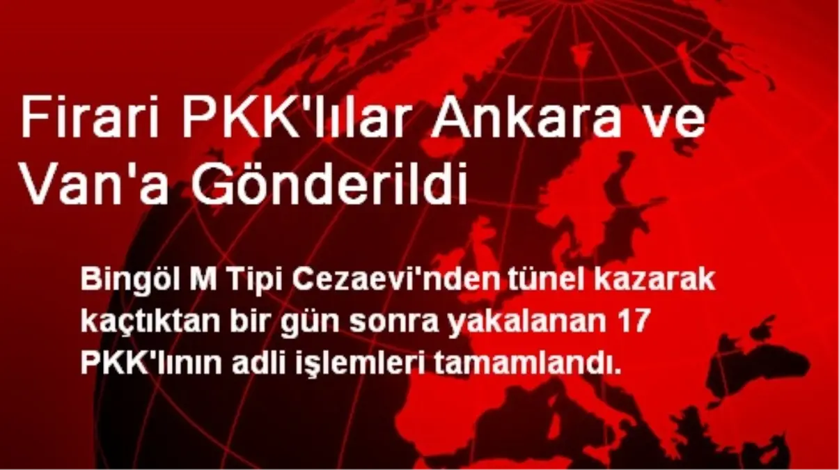 Firari PKK\'lılar Ankara ve Van\'a Gönderildi