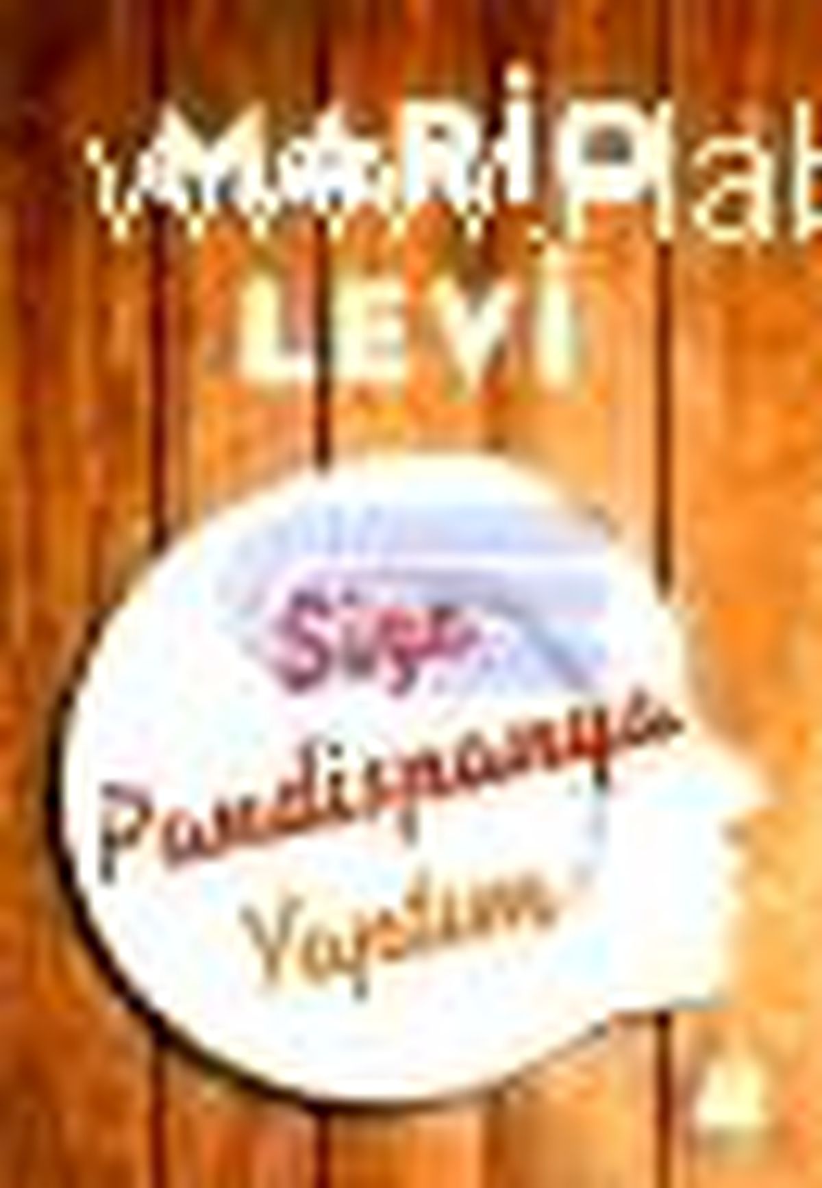Size Pandispanya Yaptım Kitabı Çıktı