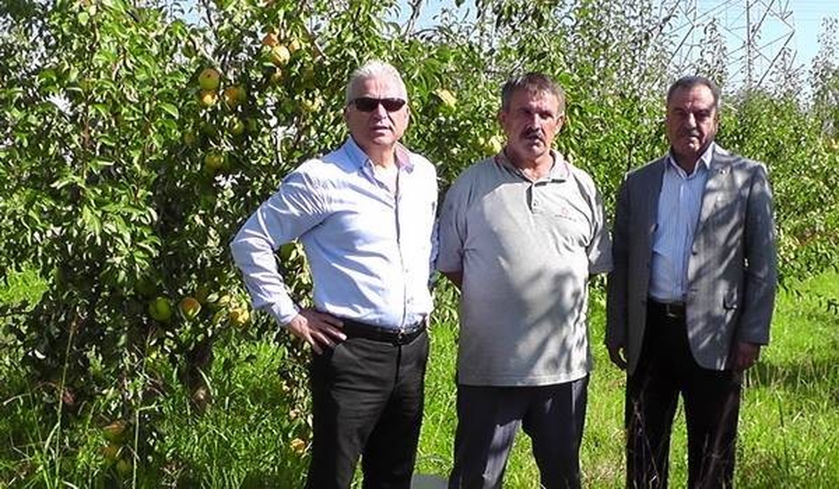 Çaycuma\'da Meyve Yetiştiriciliğinde Gelir Artışı Bekleniyor