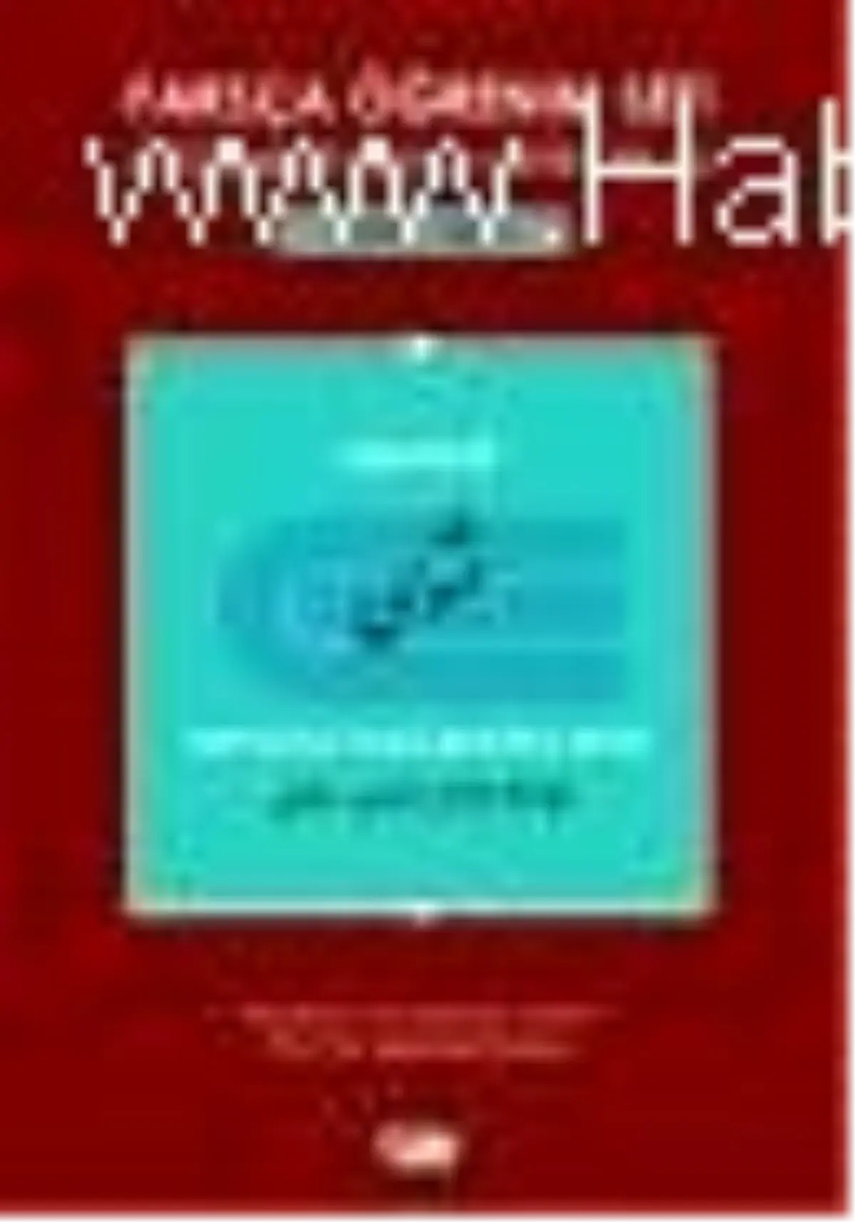 Farsça Öğrenim Seti 4 ( Seviye Orta) Mesnevif Kitabı