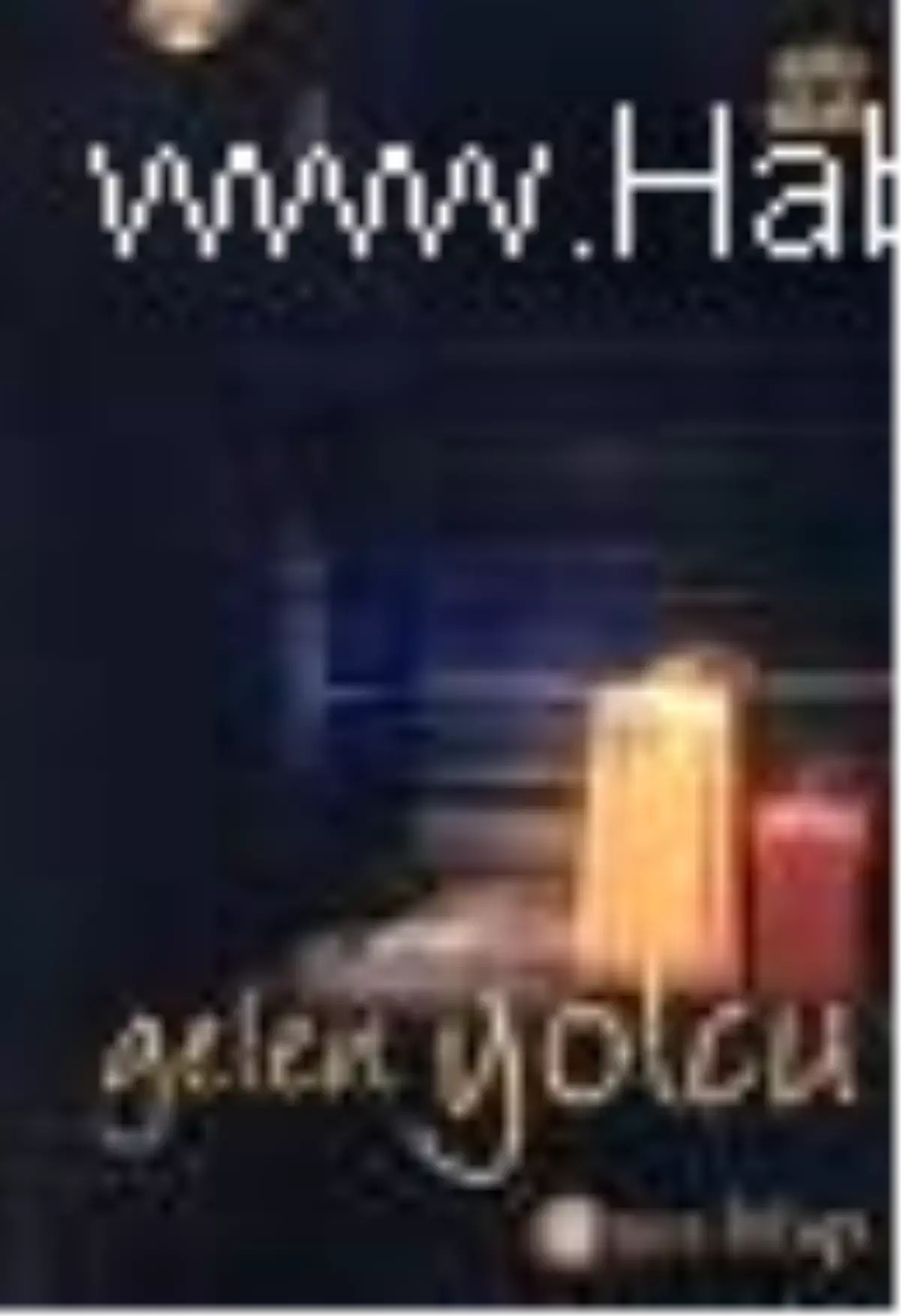 Gelen Yolcu Kitabı