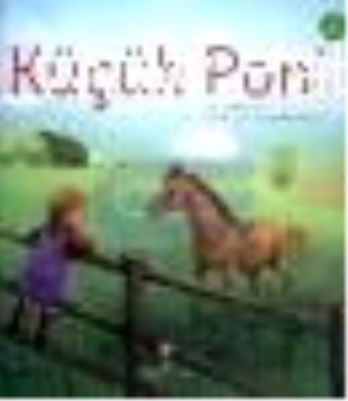 Küçük Poni Kitabı