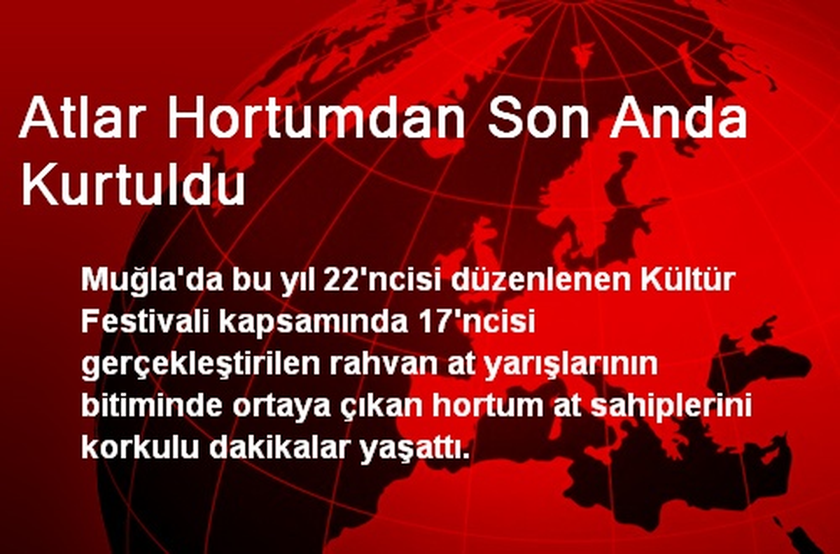 Atlar Hortumdan Son Anda Kurtuldu