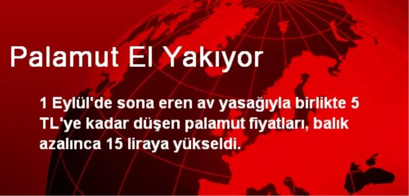 Palamut El Yakıyor