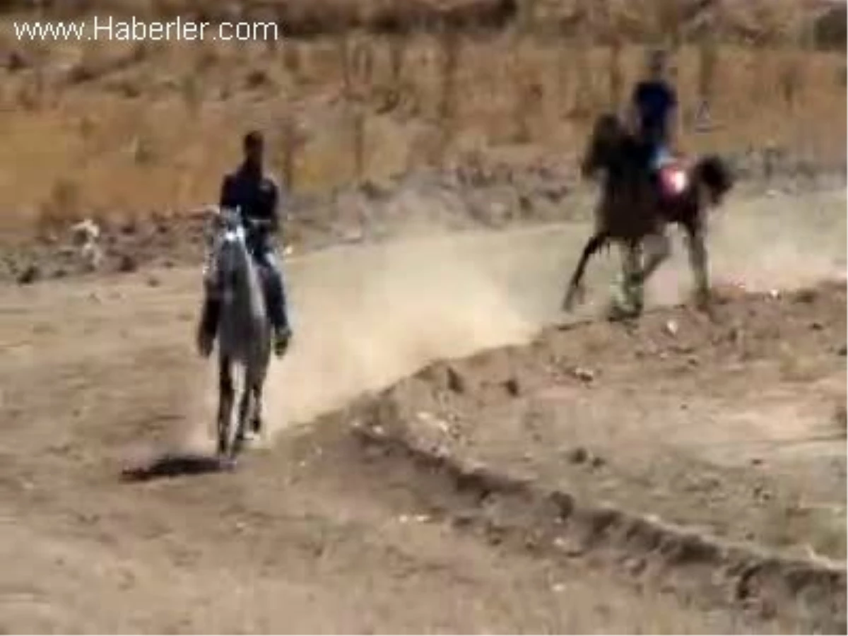 "Rahvan At Yarışları" yapıldı MUĞLA