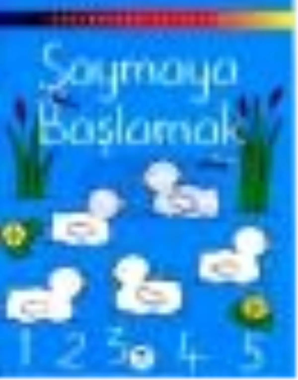 Saymaya Başlamak Kitabı