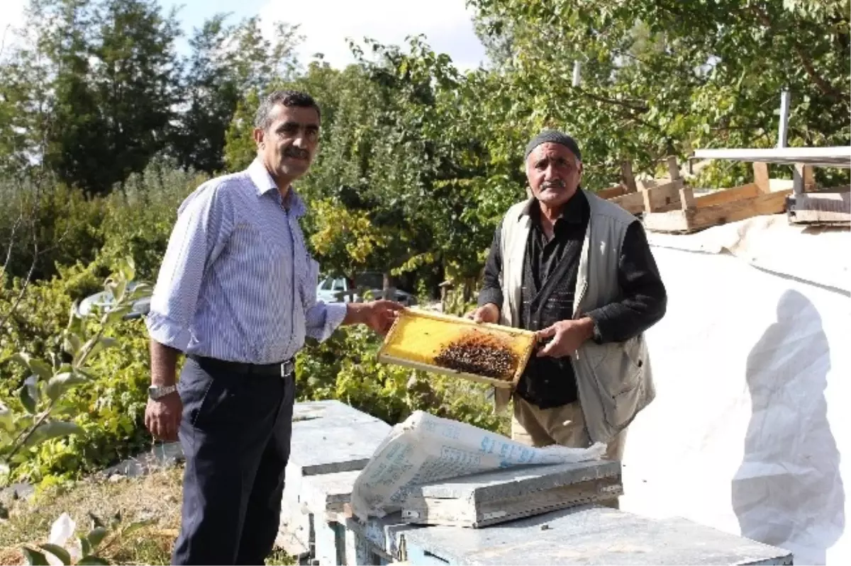 Bal Üretiminde Barkod Uygulaması Başladı