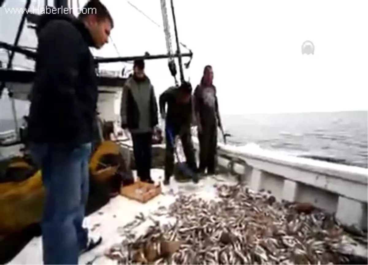 Balık avı araçlarının denize etkisini araştırıyorlar SAMSUN