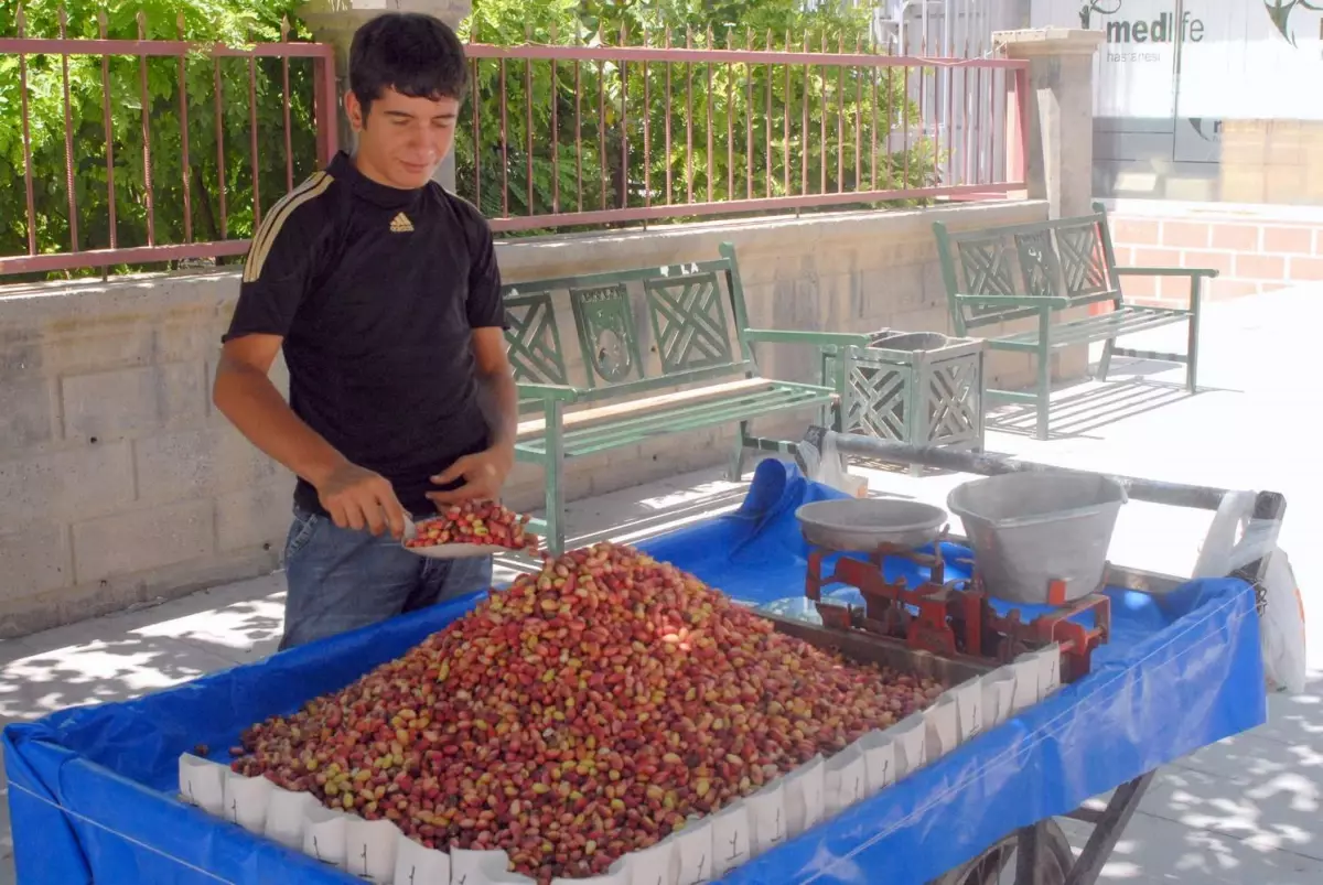 Fıstık Fiyatları Tavan Yaptı