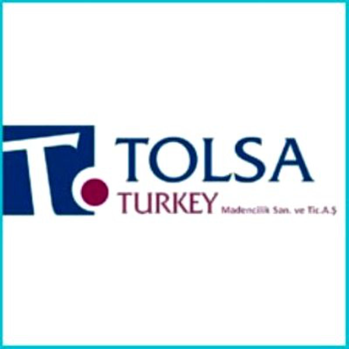 İspanyol Tolsa Türkiye\'ye Yatırım Yaptı