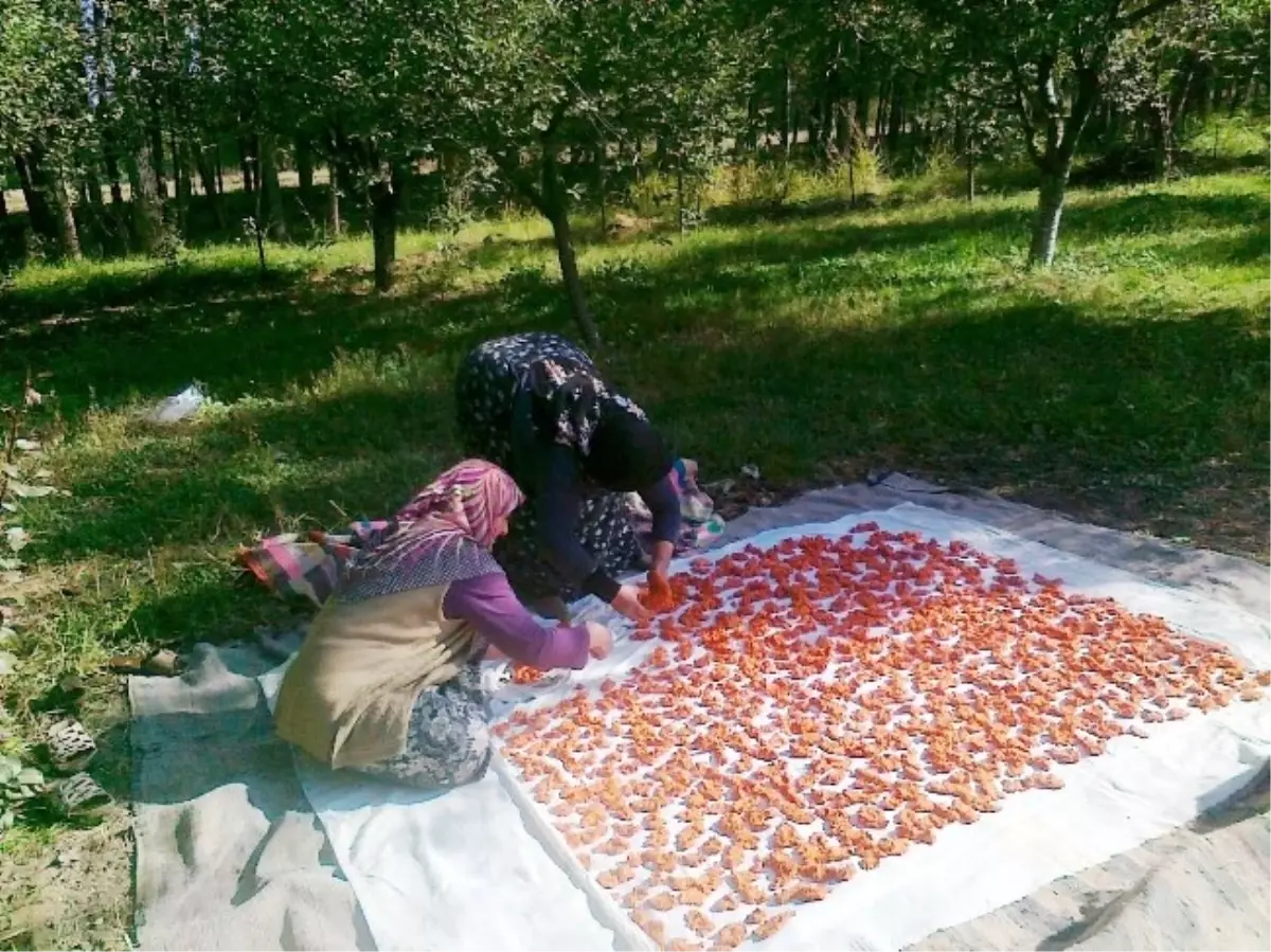 Kadınların Ev Tarhanası Yapma Telaşı